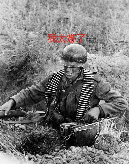 二战表情包德军图片
