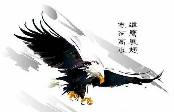 雄鹰展翅,代表雄心壮志的实现,代表鹏程万里,大展宏图,壮志凌云的意思