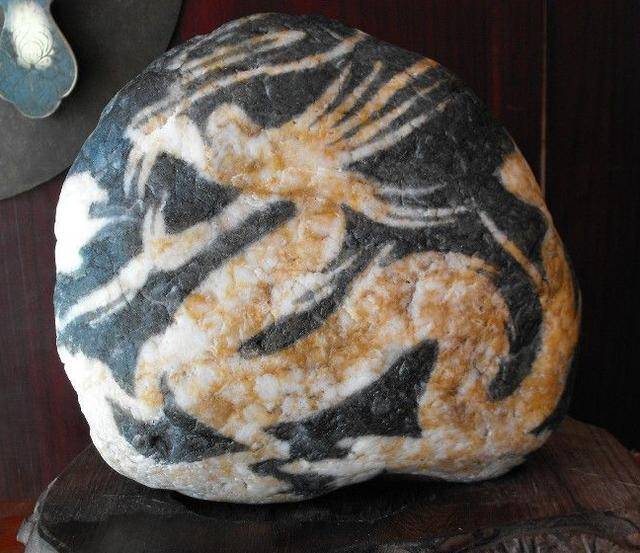 中国真正的龙纹奇石图图片