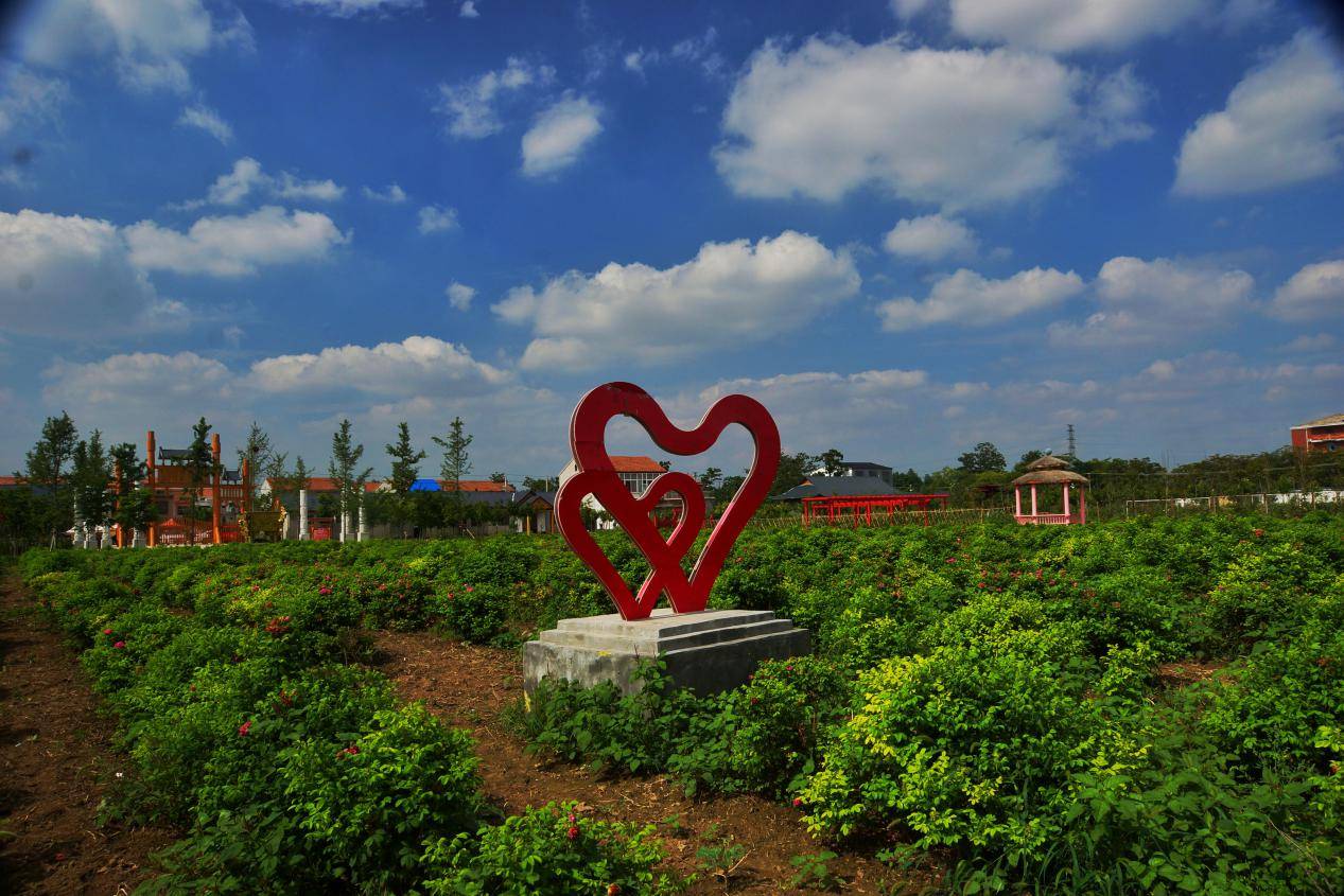 河南省虞城县郭土楼村有个行知园乡村旅游新名片