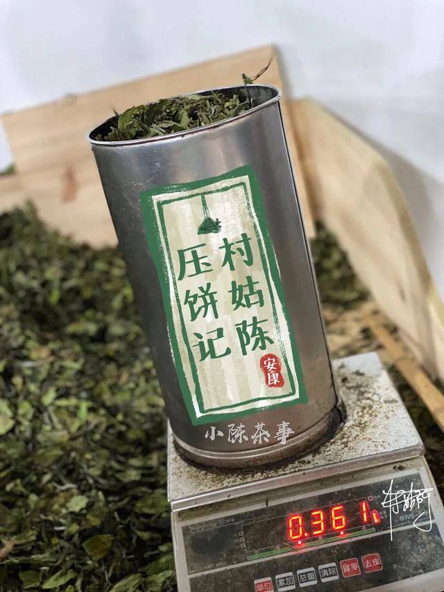 白茶饼应该如何压制村姑陈亲自展示压饼流程每个环节都很具体