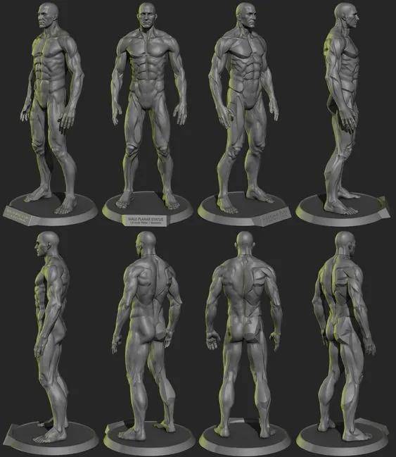 在做模型的时候要注意头与肩颈距离靠近一点,腿部