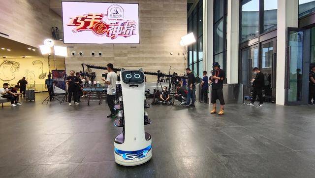 被angelababy周震南等摸头杀机器人贝拉凭什么受宠