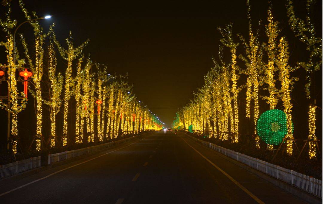 黄狮"星光大道"