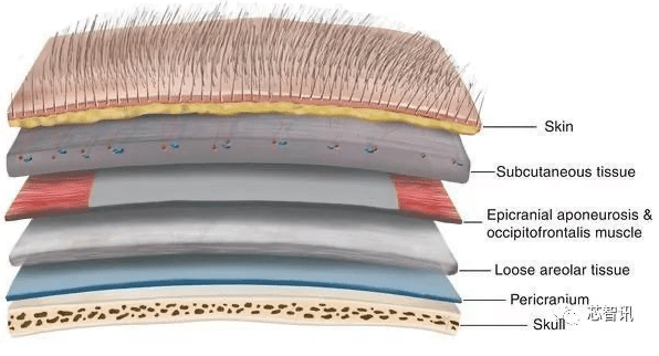 脑机接口技术的现状与未来!