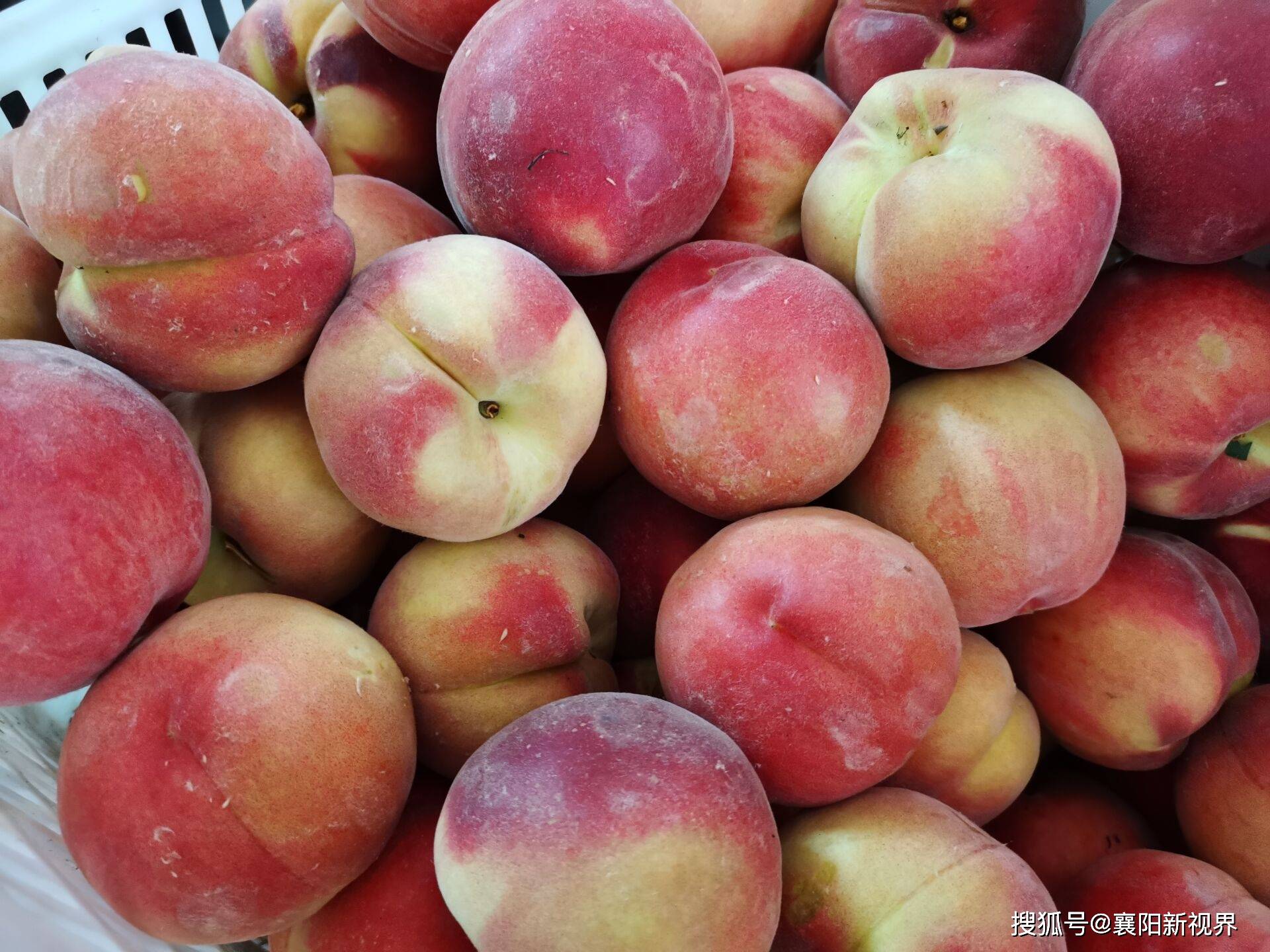 桃之乡的水蜜桃 端午节的童年趣事_桃子