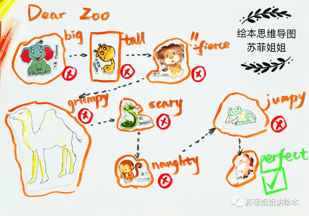 繪本精講dearzoo翻翻書全英逐字低幼必備蘇菲姐姐