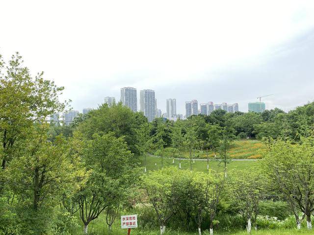 原创藏在重庆大学城中心的公园占地面积240000㎡却很少有人前往