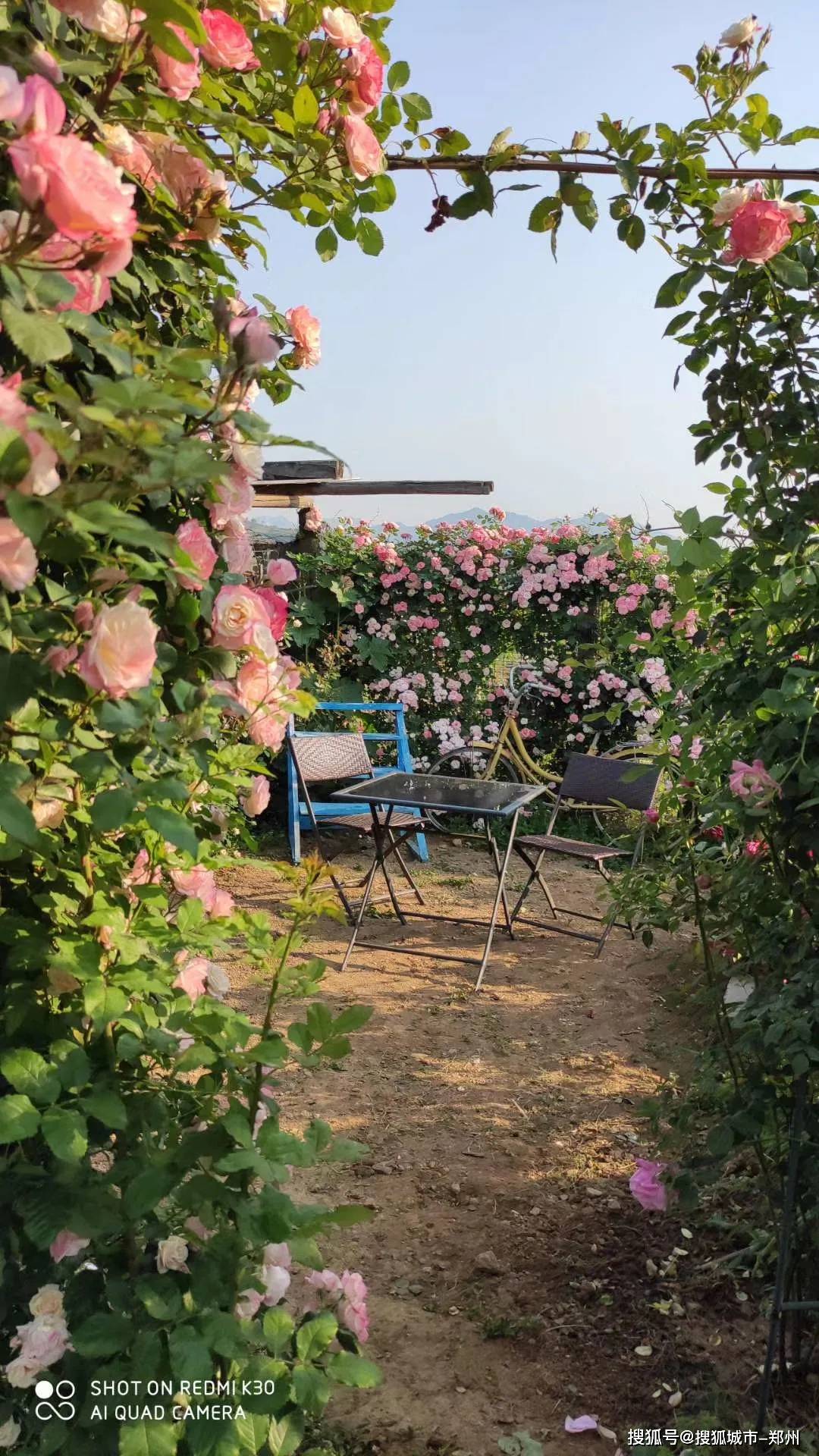 端午假期好去小编带你看这座浪漫的玫瑰庄园