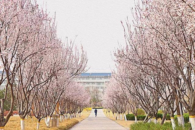 繪意濰醫浮煙山下麓臺書院旁最美濰坊醫學院