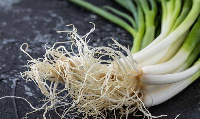 大葱香鲜嫩 咸鲜开胃_洋葱