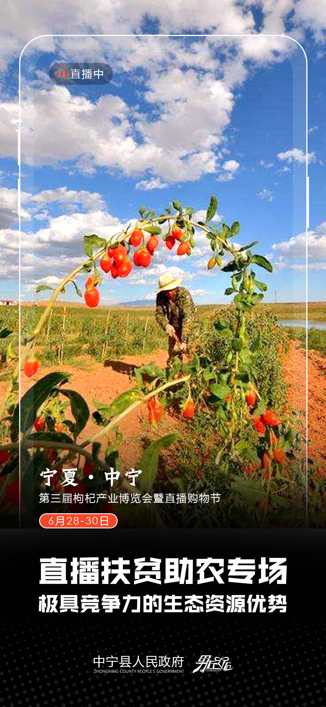 直播助农提速发展,书写枸杞之乡新篇章!