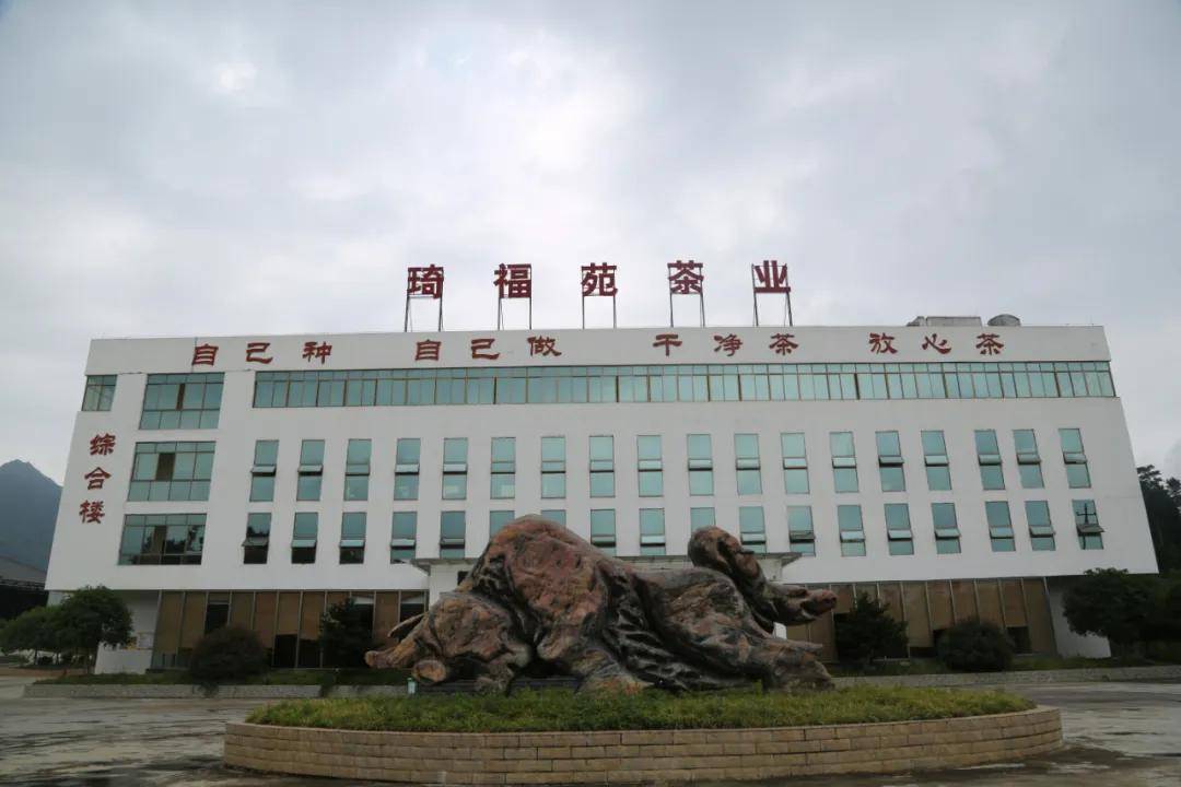 茗边聚焦湄潭茶产业系列报道之⑦琦福苑茶业非遗传承匠心制茶
