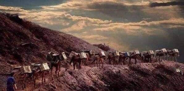 中国古代有一次伟大的移民,只用一把锄头,就挖出两个省