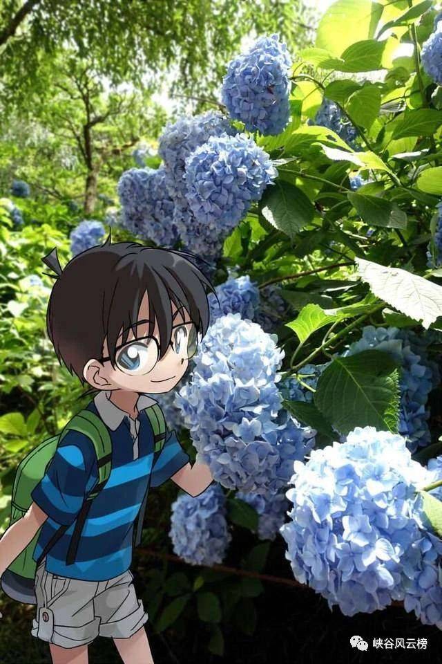 名侦探柯南快新即使你将我忘记我心中也只有你一人