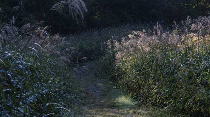 当电商开始“卡脖子”,家电企业的渠道抓手是什么?-家电圈官网