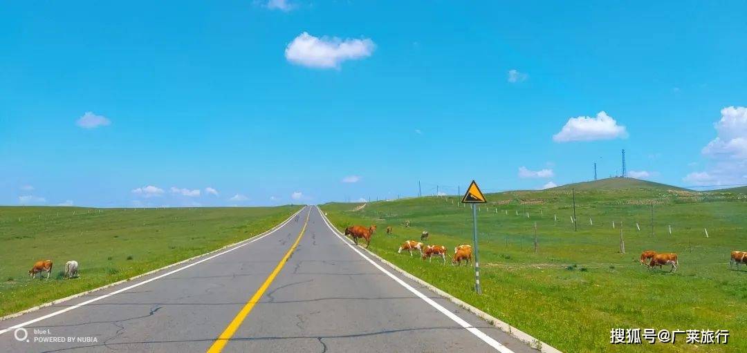 一到夏天,内蒙古就"绿"了全世界!