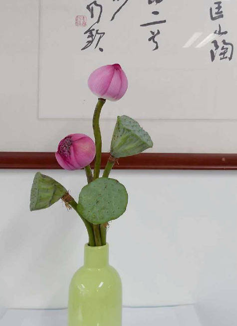 里面包含了多个莲子,取其谐音有连子的意思,古代人将它寓意为子孙满堂