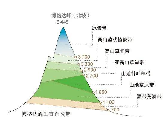 托木尔峰垂直自然带示意图图/《多彩中国》