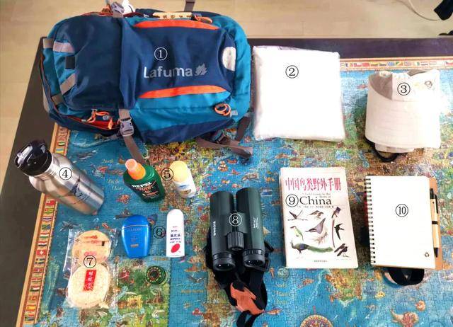 原创观鸟,你准备好了么?