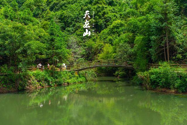 江西全南天龍山,一場奇幻的穿越之旅