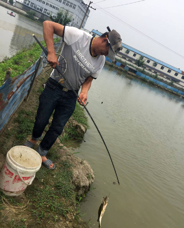 原创一门绝技百步穿杨一竿子一只甲鱼这种技能不简单