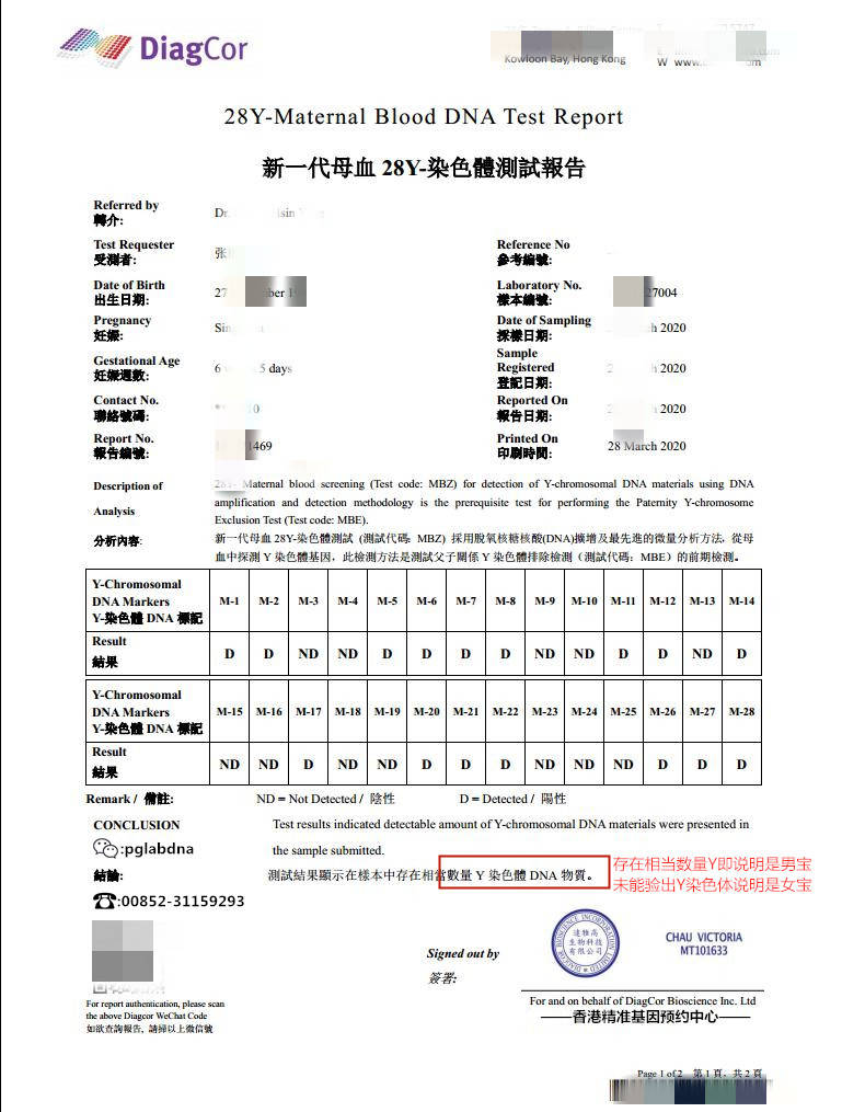 达雅高正规报告单图片简介(孕妈须知)