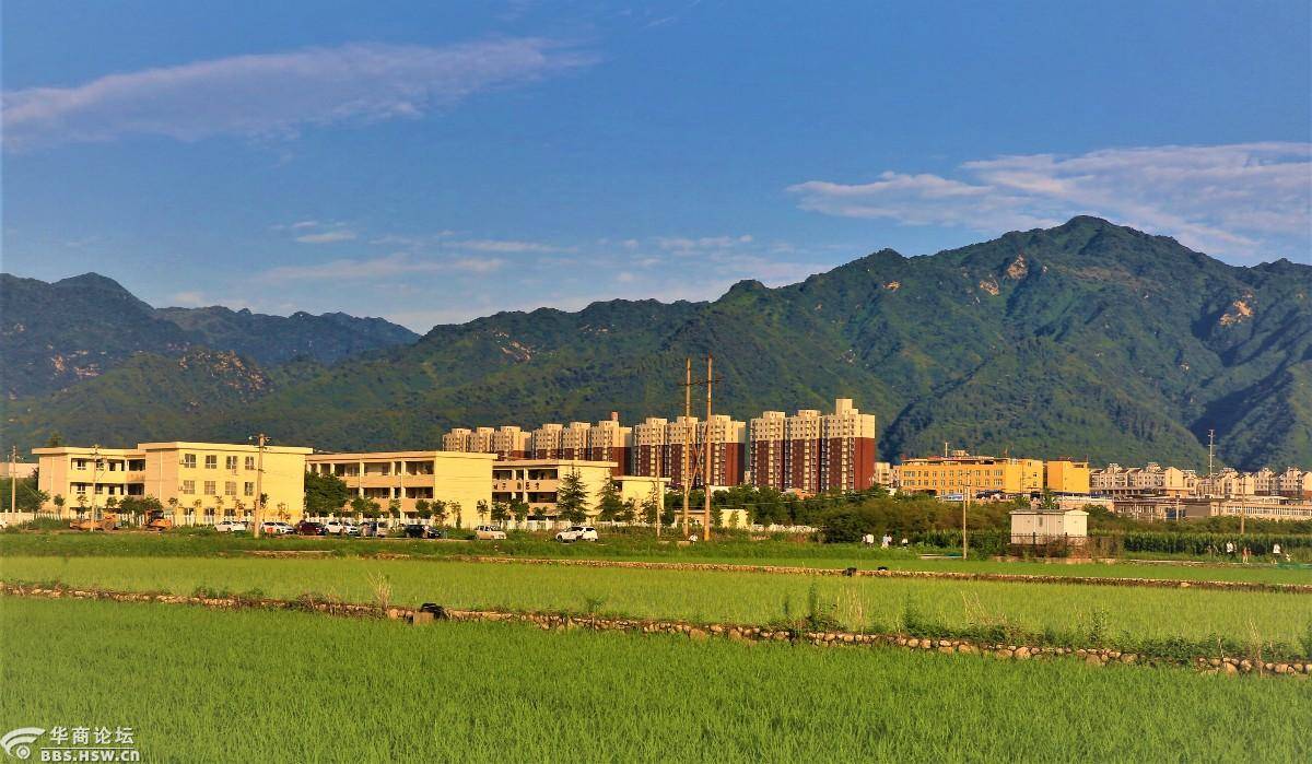 秦岭角下东大镇西大村向日葵地里观日落