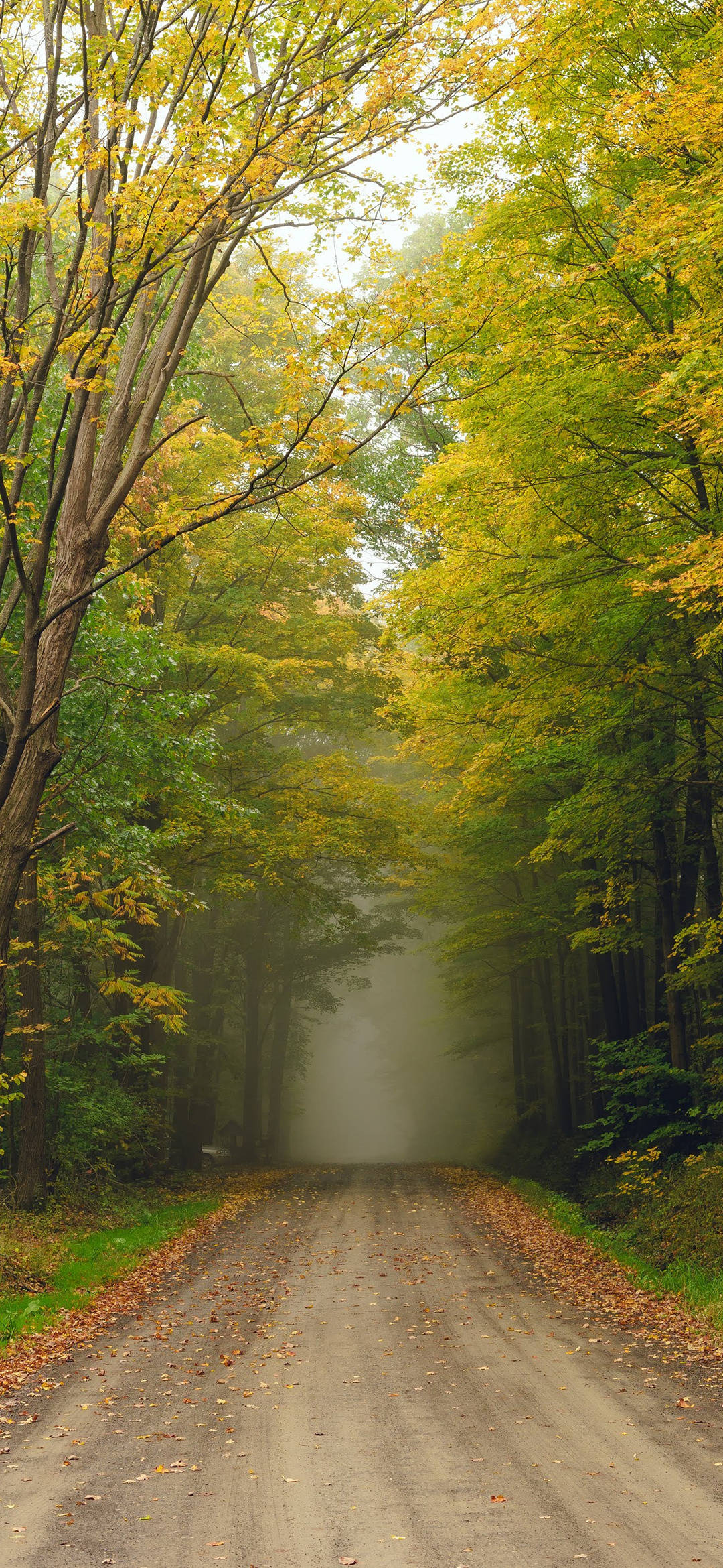 1080_2340竖版 竖屏