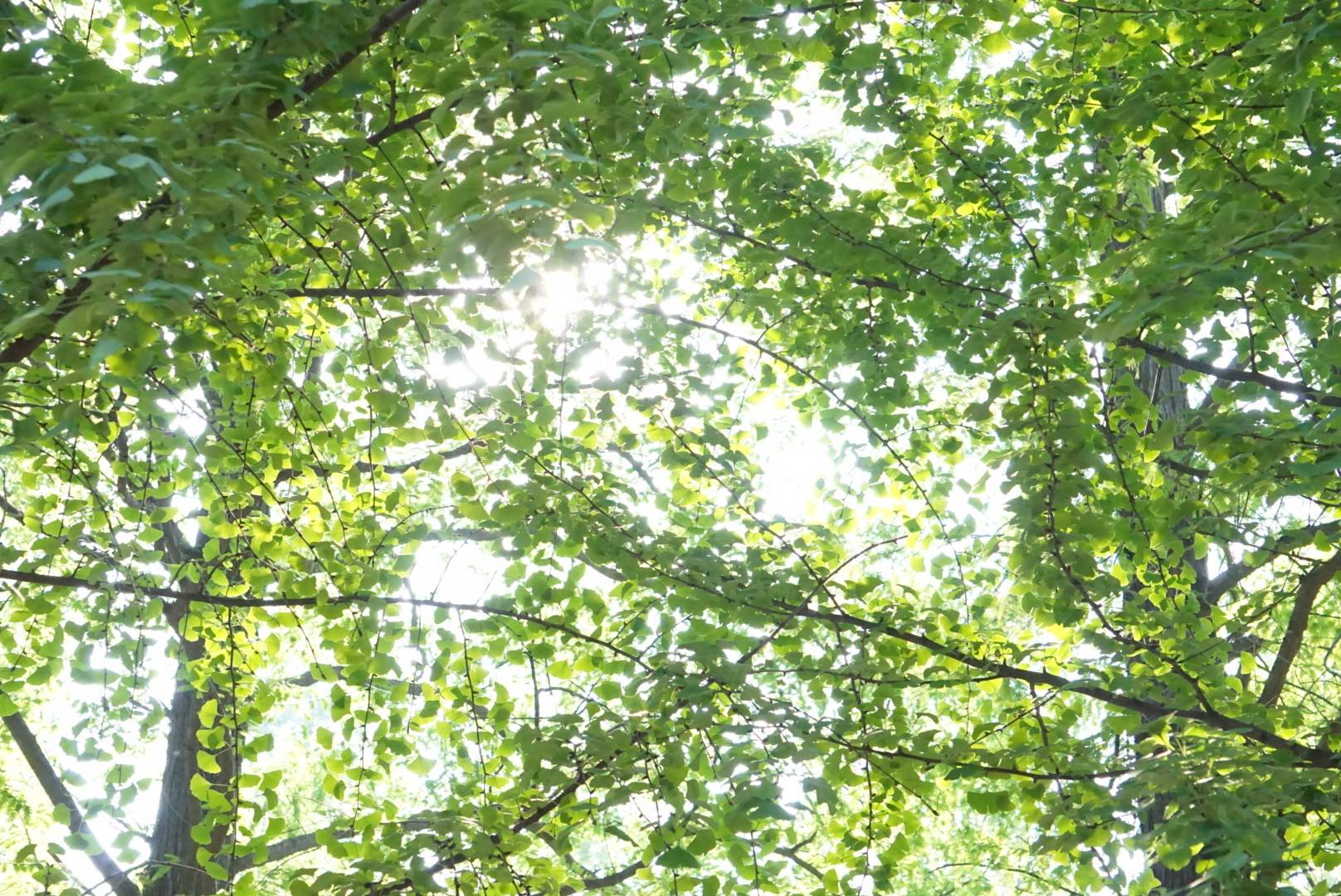 此书是日本的中村恒子对工作,生活,婚姻的看法和处理方式,此书受到了