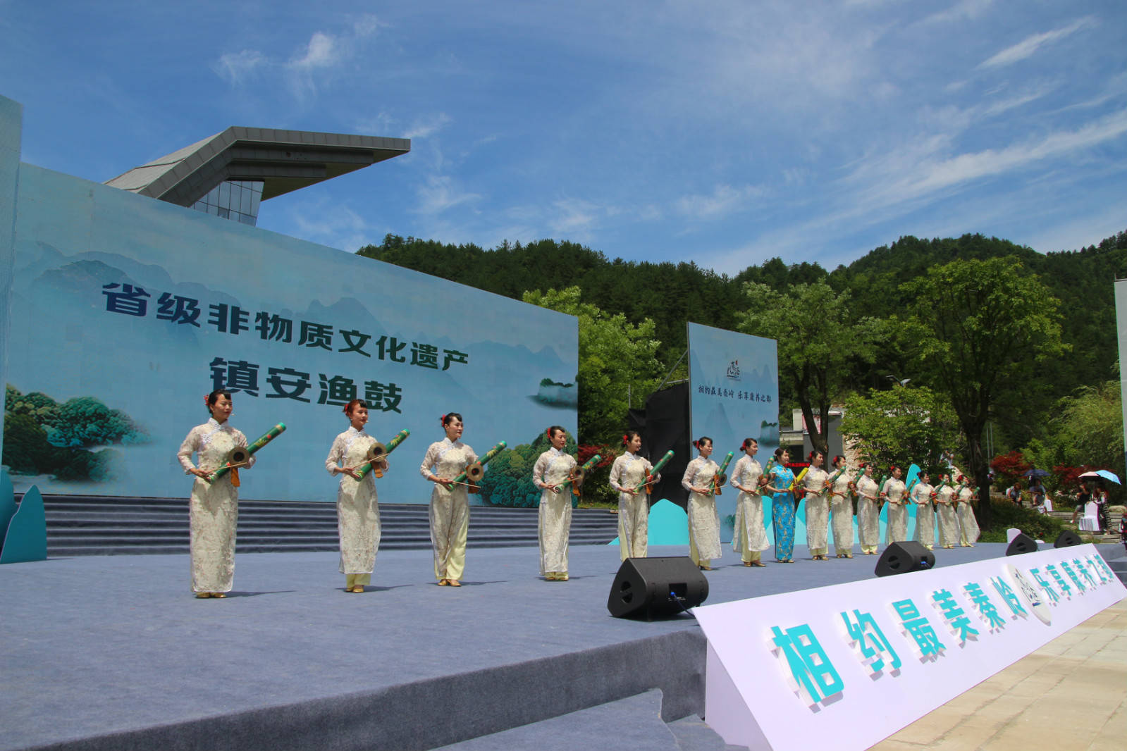 相聚木王 乐享秦岭生态风华—2020中国秦岭生态文化旅游节盛大启幕