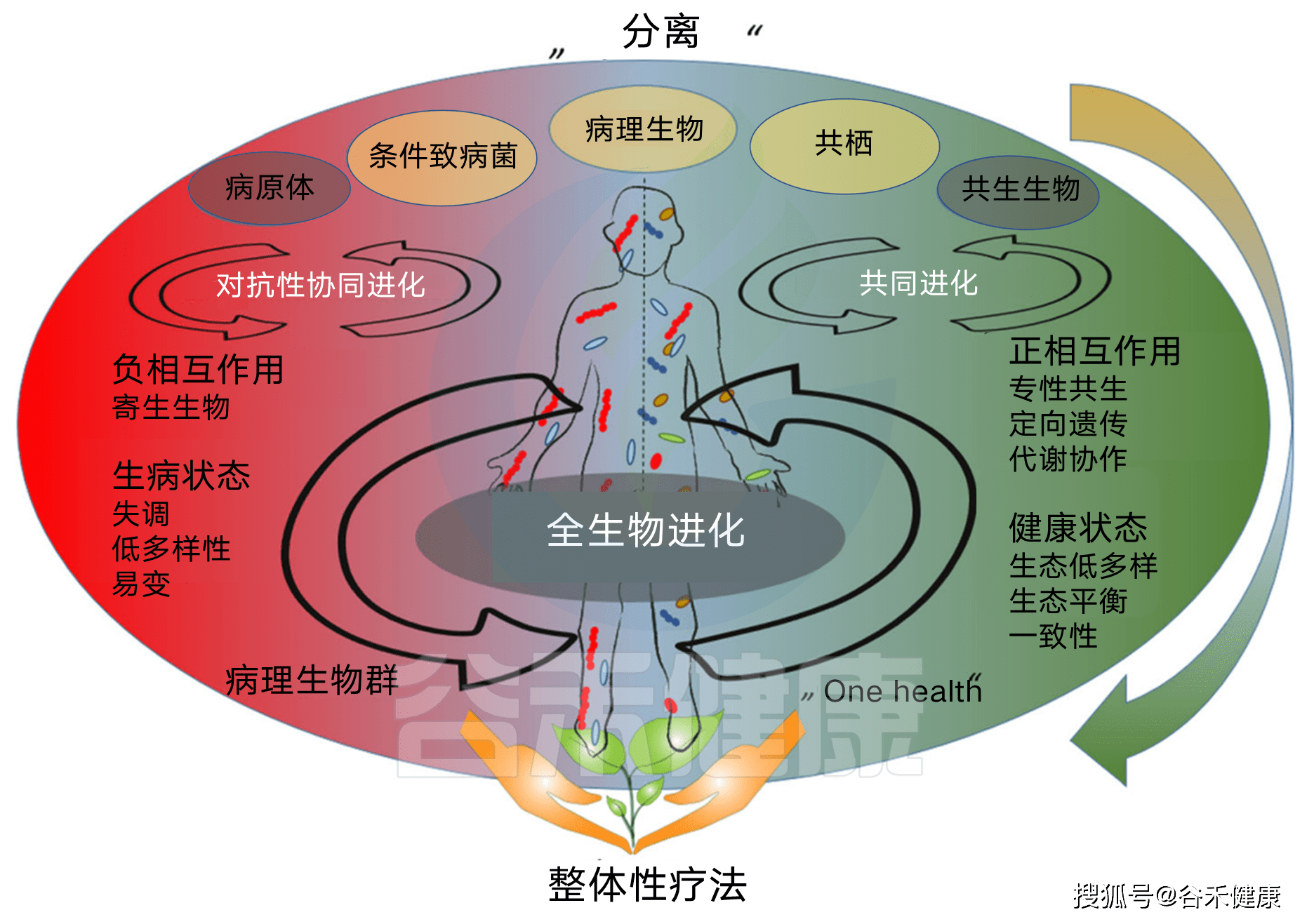微生物群和微生物组有区别吗?本文带你详细了解它们的前世今生_定义