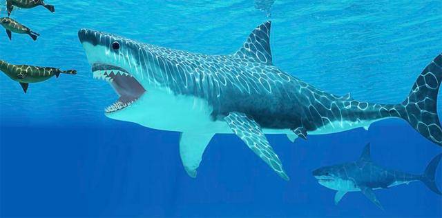 中生代的霸王龙,巨齿鲨等生物都曾