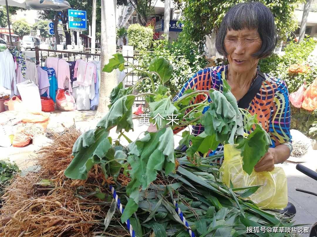 東門涼草攤子上的草藥,是泉州人夏日解暑的涼茶_阿姨