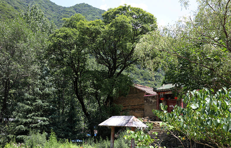 有空偷得半日闲,终南山居做闲人_秦岭