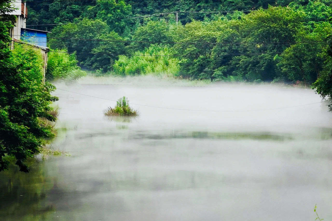 雲霧繚繞,仙氣十足!雨後的寧波郊野這麼美,藏著小秘密你來過嗎?