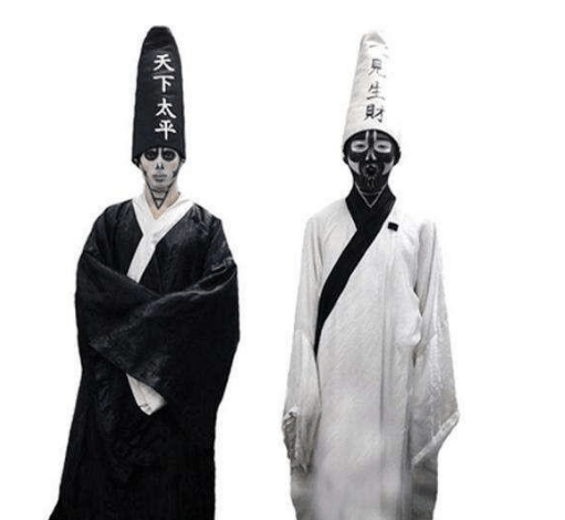 那凶神恶煞的脸庞当时就把我下炸毛了,竟然是黑白无常!