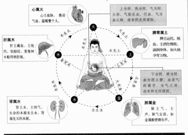 五行與五臟的相生相剋