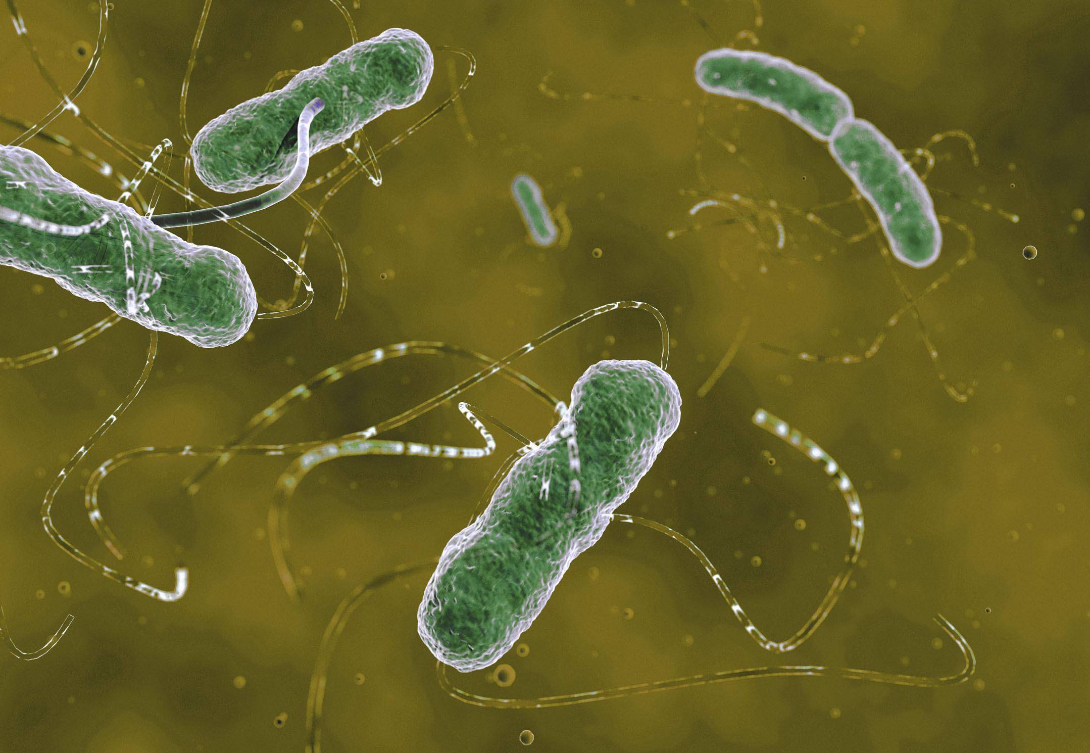 原创幽门螺杆菌的祸根揭晓,奉劝一句:2物再馋也要忌口,别任性