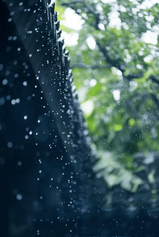 【诗词鉴赏】夏天的雨夜,雨夜的诗,带来了几丝凉意,几丝诗意!