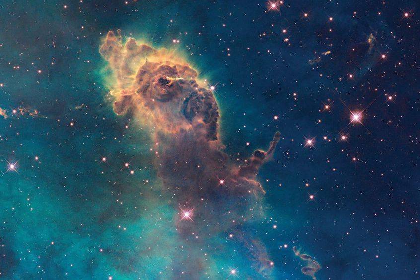 在这张星云图像中,您看像什么动物?
