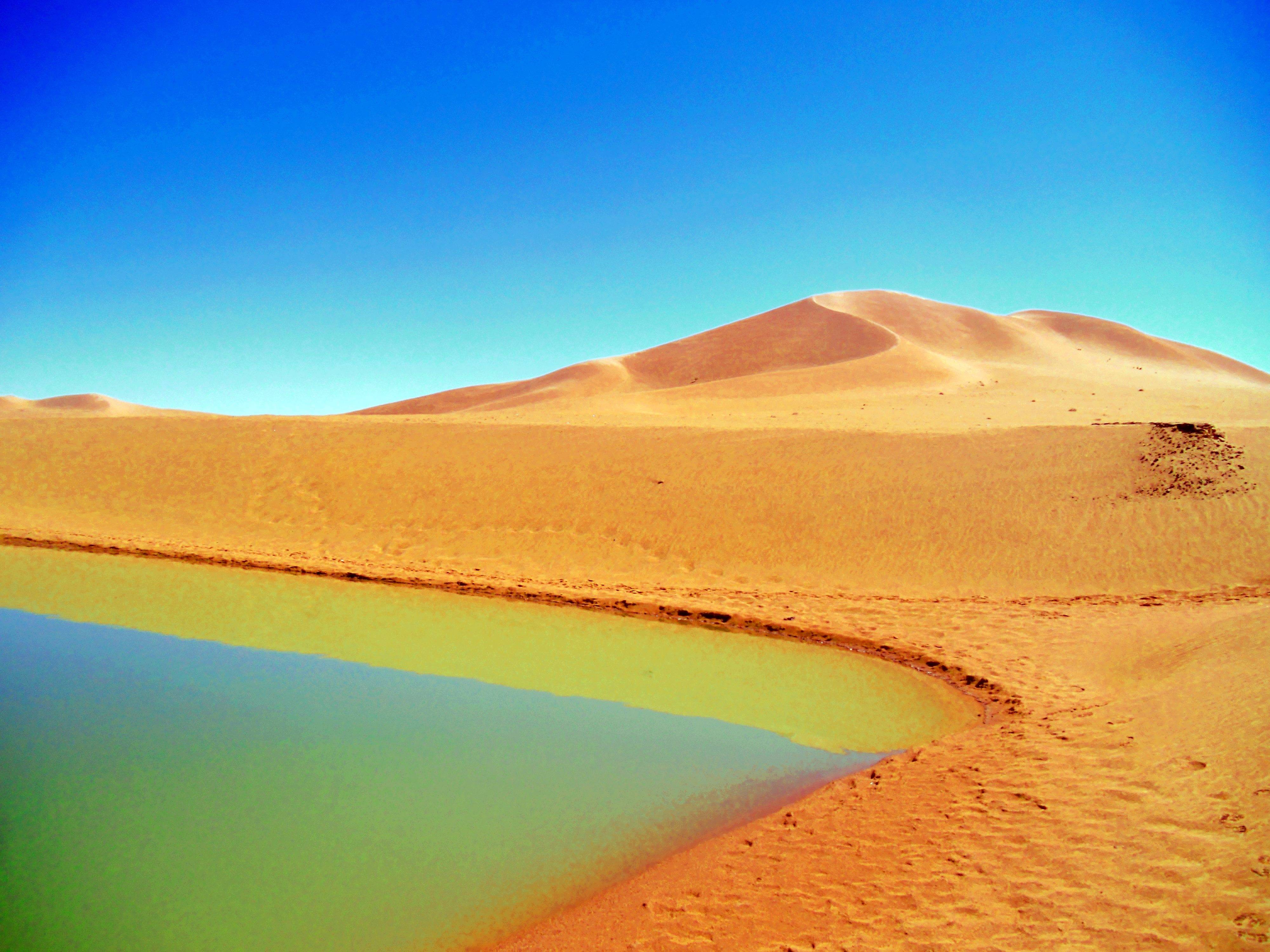 卡哈拉里沙漠图片