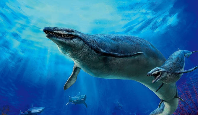 恐龙灭绝后第一代海洋霸主体长18米又细又长将鲨鱼当小菜
