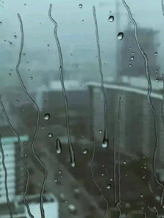 图片[31] - 【xizi被窝段子20200713】上了生活的贼船，就做快乐的海盗 - xizi