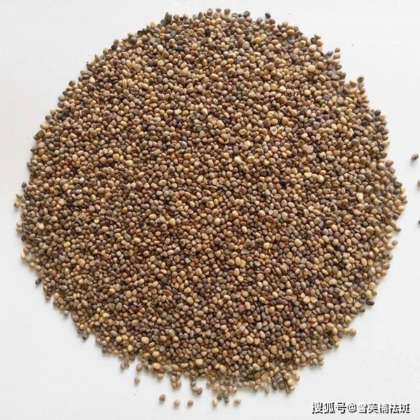 一个简单有效的祛斑方法就能帮到你_蒲桃