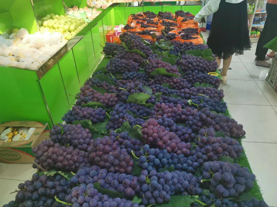 刚采摘回来的葡萄品种