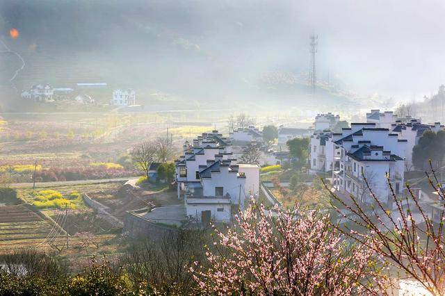 这个村不愧是当涂的门面担当_桃花村