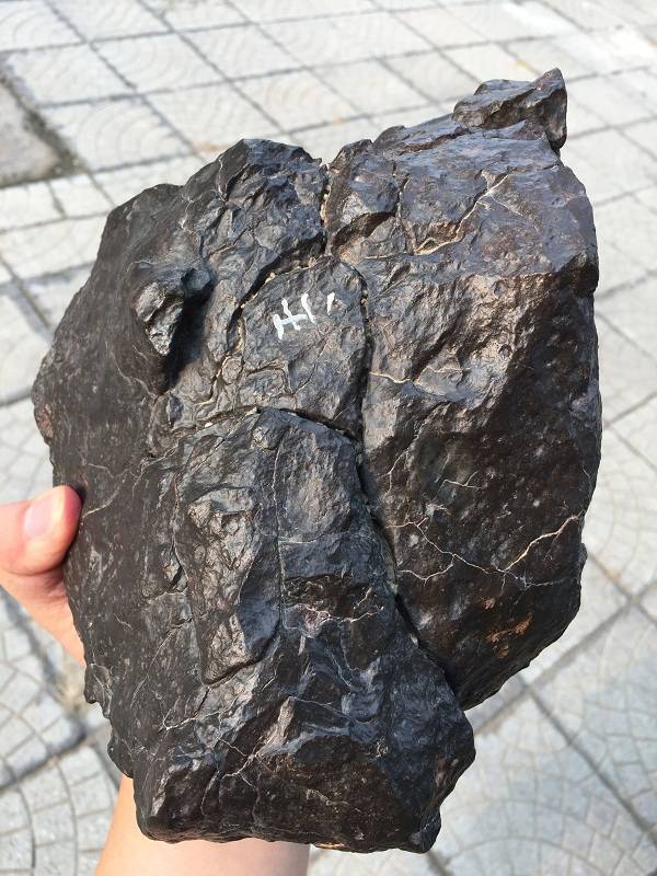 沙漠地区发现的陨石