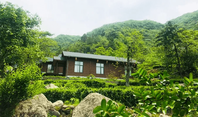 谁说的?至少这两家民宿,你不能不去住一次!