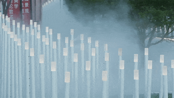 600_338gif 动态图 动图
